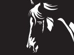 Horse Arm